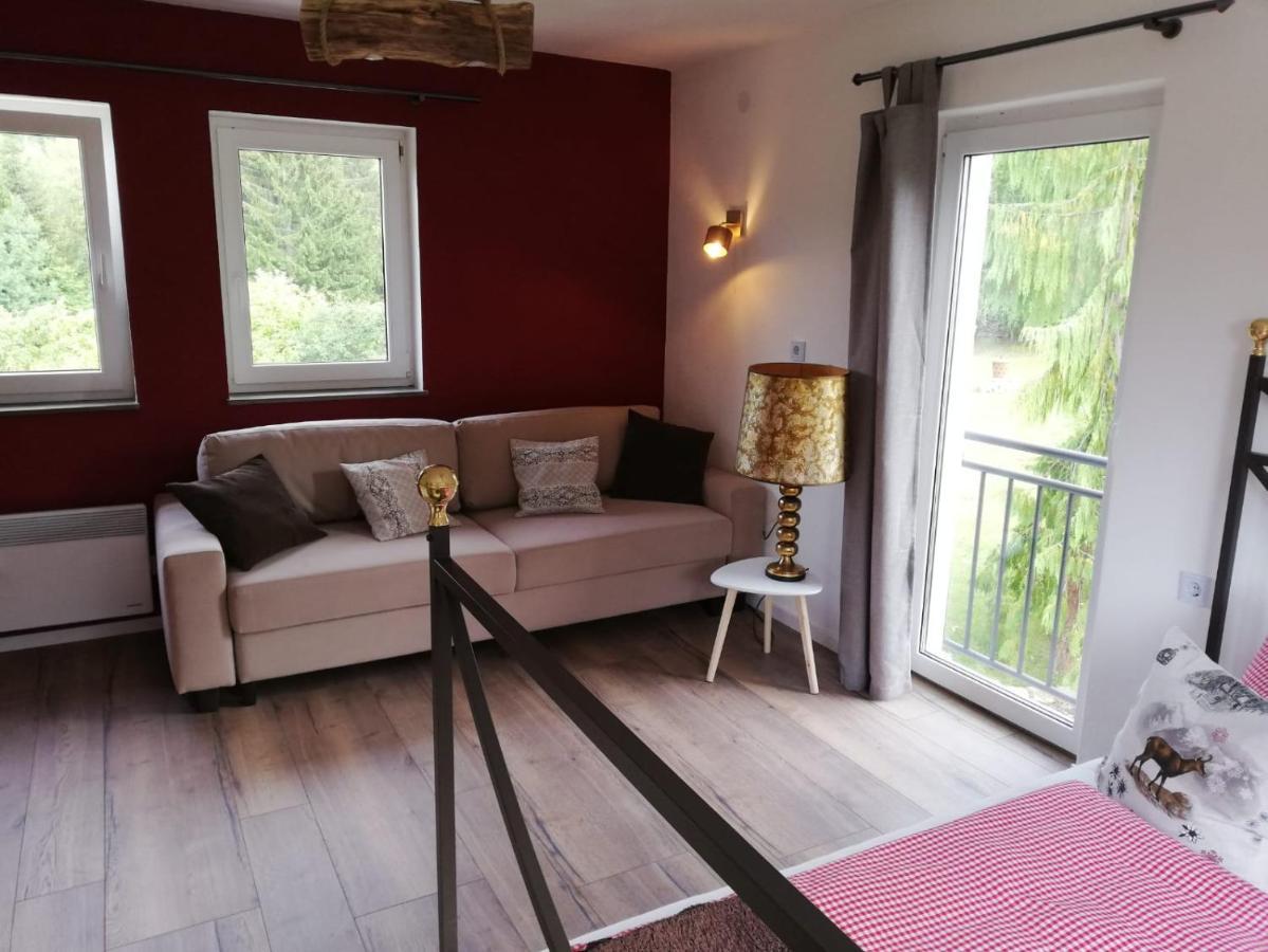 Apartmán Fahrenbach-Alm Tröstau Exteriér fotografie