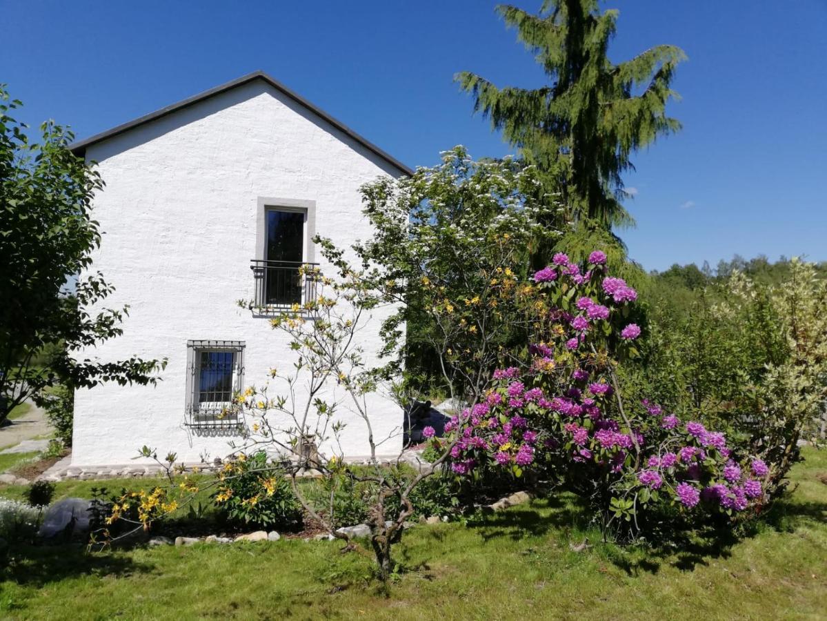 Apartmán Fahrenbach-Alm Tröstau Exteriér fotografie