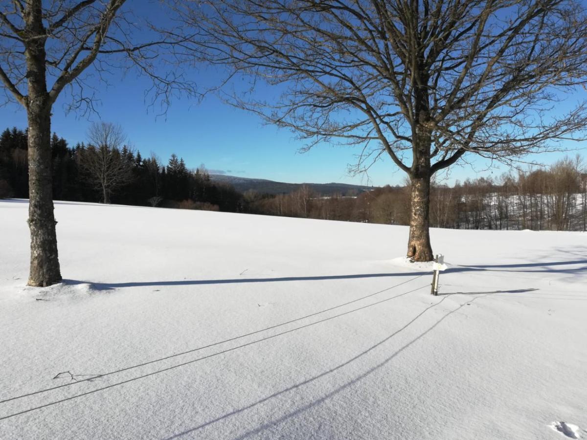 Apartmán Fahrenbach-Alm Tröstau Exteriér fotografie