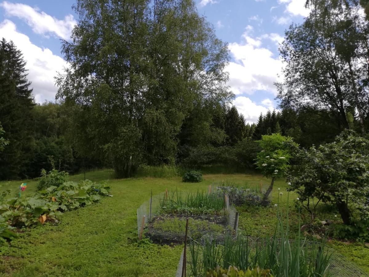 Apartmán Fahrenbach-Alm Tröstau Exteriér fotografie